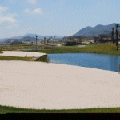 Green fees