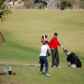 Green fees