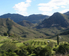 Cortijo Grande