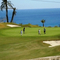 Green fees
