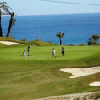 Green fees