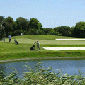 Green fees