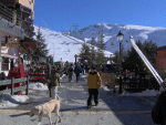 Snow skiing, ski slope exit